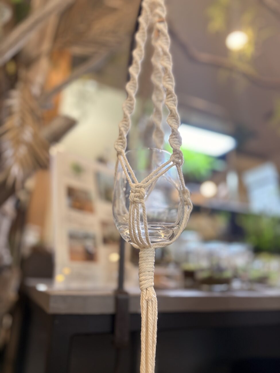 プラントハンガーワークショップ開催します