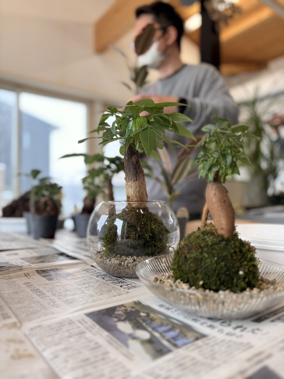 苔玉つくりワークショップを開催しました