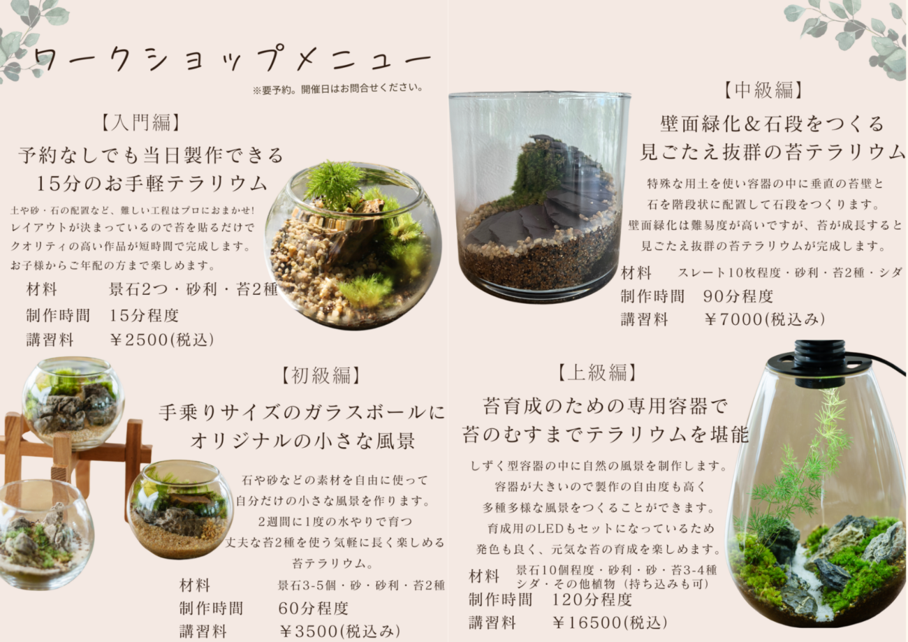 4/18苔テラリウムワークショップ開催